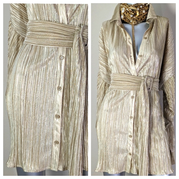 Golden Champagne Shimmery Accordion Pleated Belted Earth Girl "BOHO" Shirt Dress - Picture 7 of 12